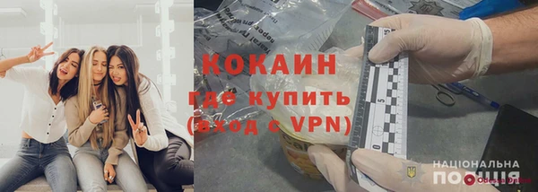 трава Бородино