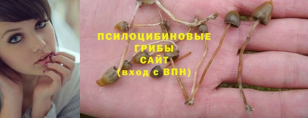 трава Бородино