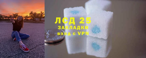 трава Бородино
