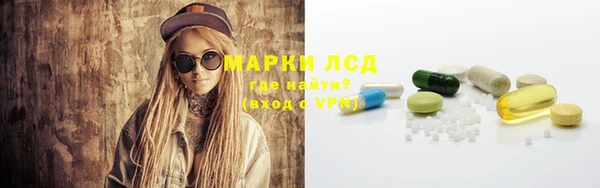 трава Бородино