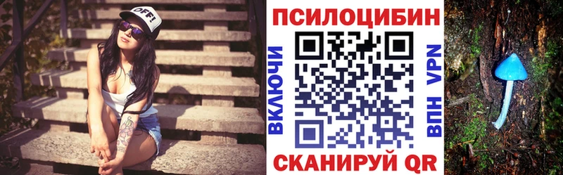 Купить  Кирово-Чепецк  Галлюциногенные грибы Magic Shrooms 